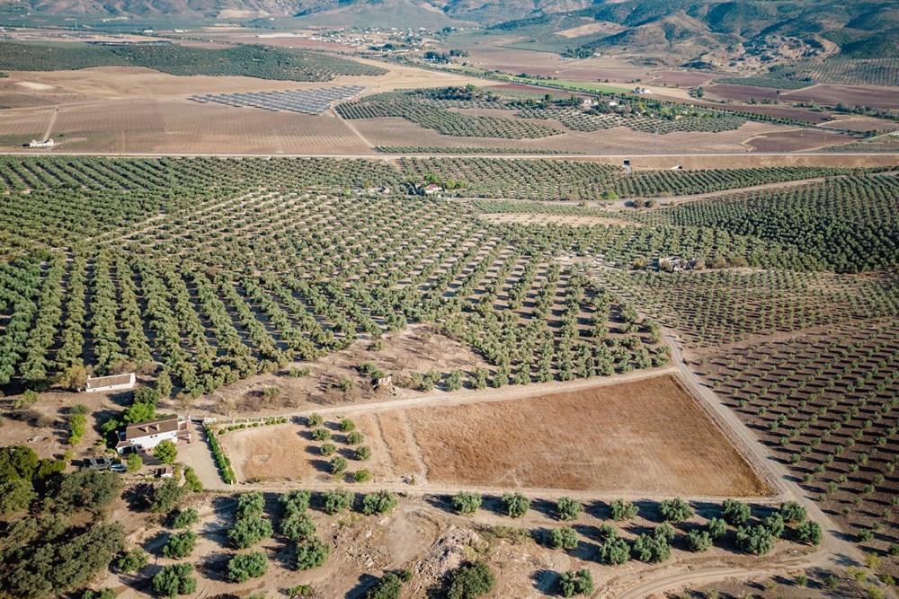 Venda finca a Archidona ( Màlaga)