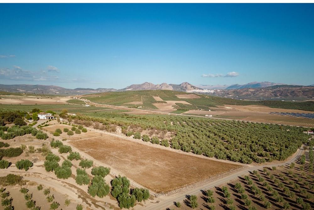 Boerderij te koop in Archidona (Málaga)