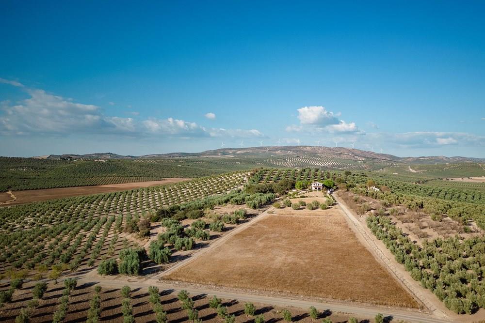 Boerderij te koop in Archidona (Málaga)