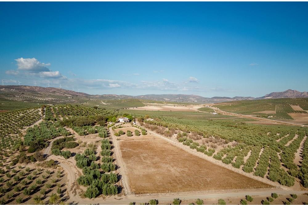 Venta finca en Archidona ( Málaga)